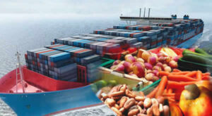 Non oil export