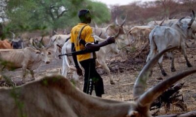 herdsmen 2