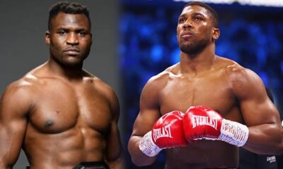 images 2024 01 15T182402.899 1