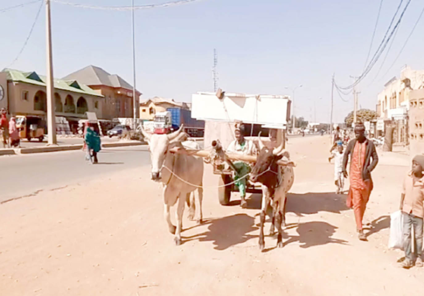 ox driven carts conveying a brides furniture to her matrimonial home