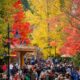whistler fall autumn