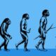 Human Evolution Timeline