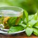 Scent leaf tea is great for weight loss. Photo Dreamstime