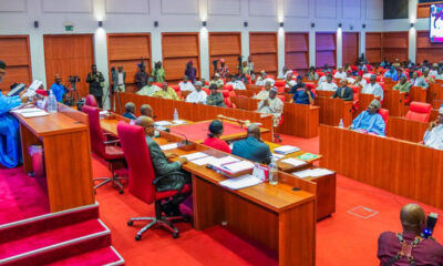 Senate 1