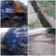WhatsApp Image 2024 02 03 at 10.21.15 1706952087