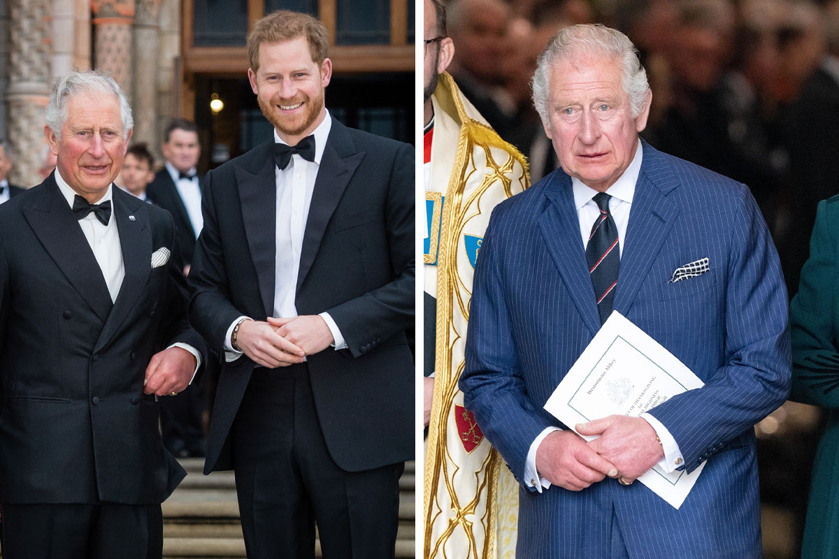 prince harry visit king charles cancer diagnosis cover 800