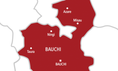 Bauchi State map