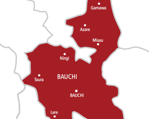 Bauchi State map