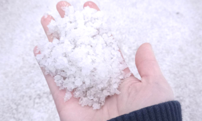 ROCK SALT website 1
