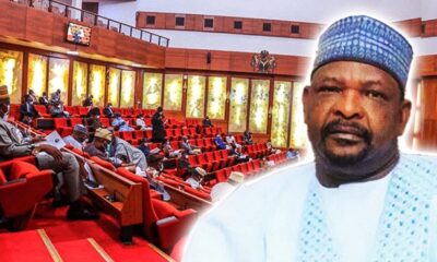 Senate Ningi