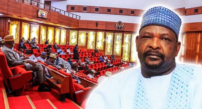 Senate Ningi