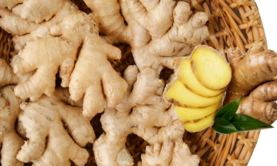 Where to buy Ginger