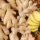 Where to buy Ginger