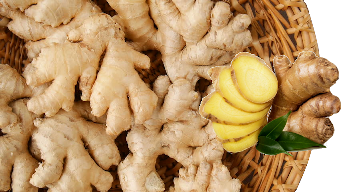 Where to buy Ginger