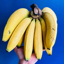 images 2 4