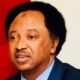 shehu sani says