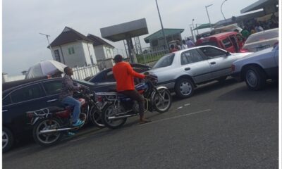 MixCollage 22 Apr 2024 02 02 PM 6748