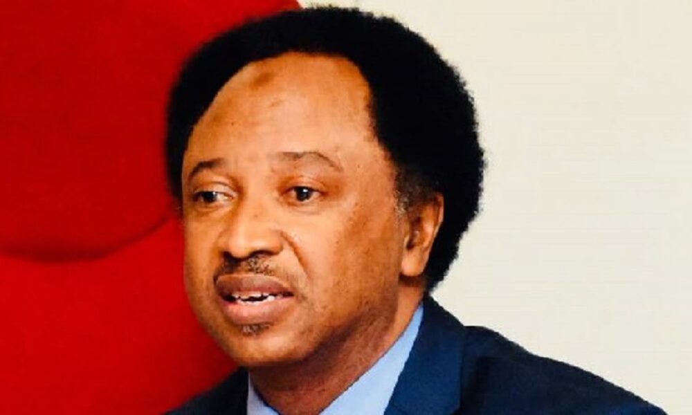 shehu sani says