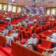 Nigerian Senate