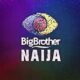Big Brother 1