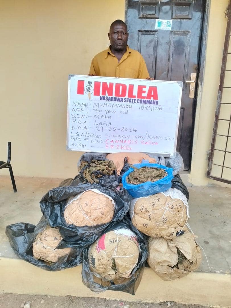 NDLEA 1 1