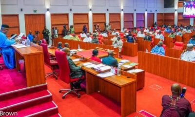 Nigerian Senate chamber 1 696x348 1