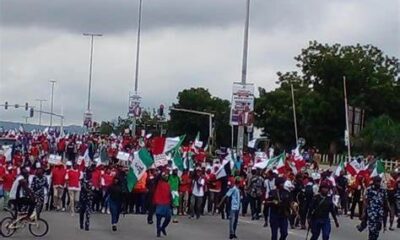OIP 15