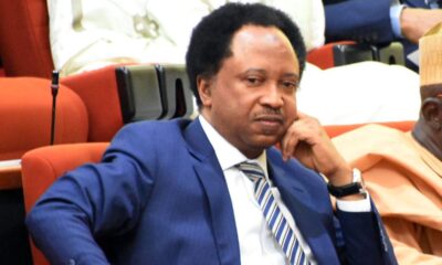 Shehu Sani 1 1