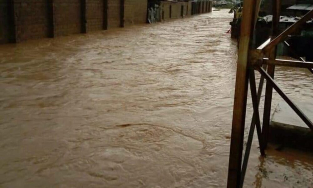 flood