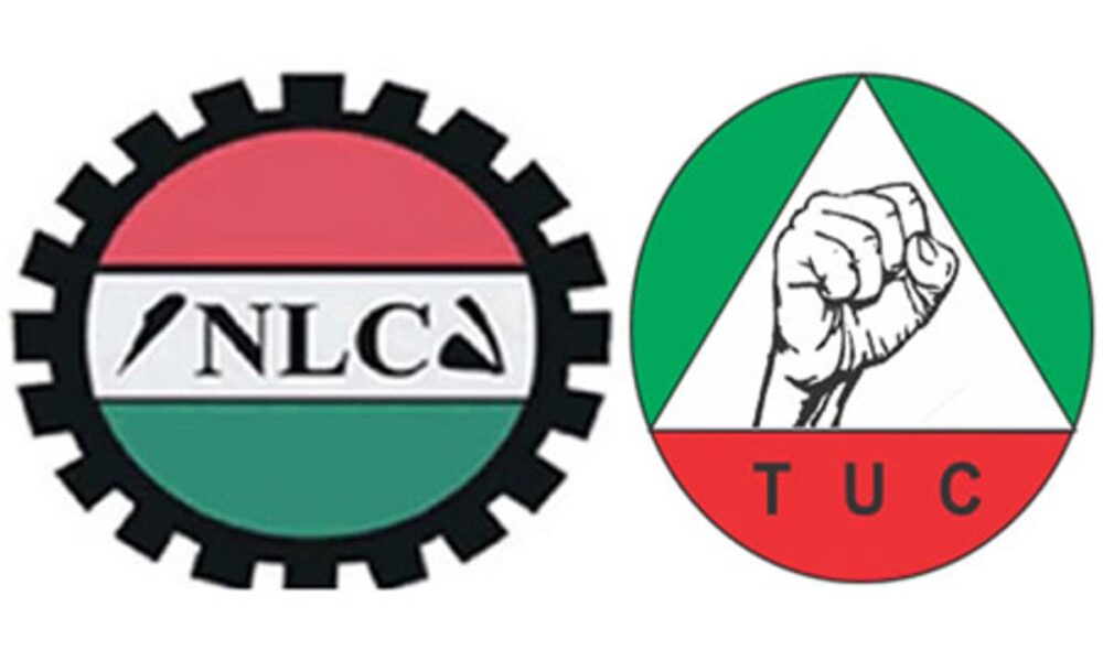nlc tuc 1