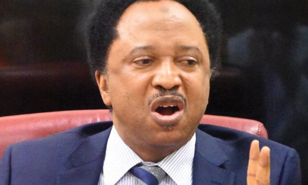 shehu sani 3