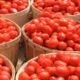 67a980cd basket of tomatoes