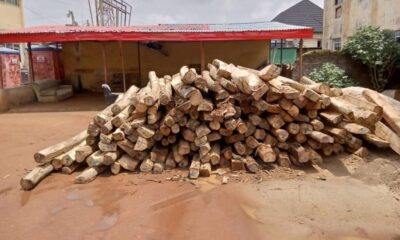 IMG 20240705 WA0034 1024x768 1