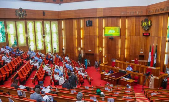 National Assembly 547x340 1