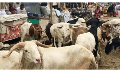 Ram Market 513x340 1