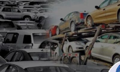 Vehicle importation e1716940970111