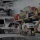 Vehicle importation e1716940970111