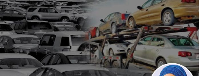 Vehicle importation e1716940970111