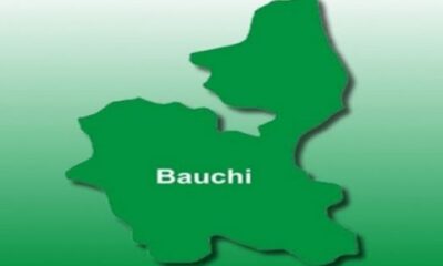 Bauchi state map 531x340 1