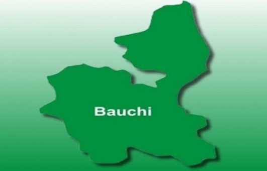 Bauchi state map 531x340 1