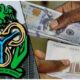 CBN Currency fx USD Naira