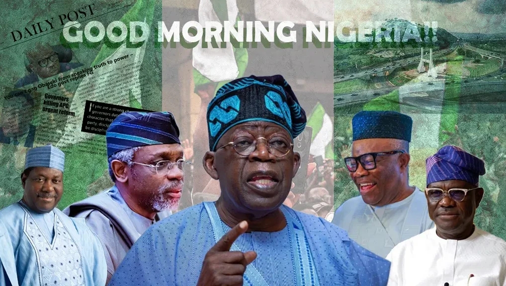 Nigerian Newspapers2