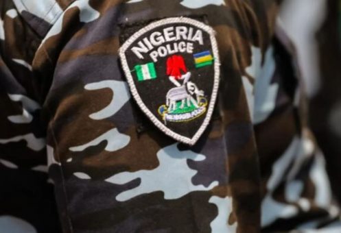 Police 497x340 1