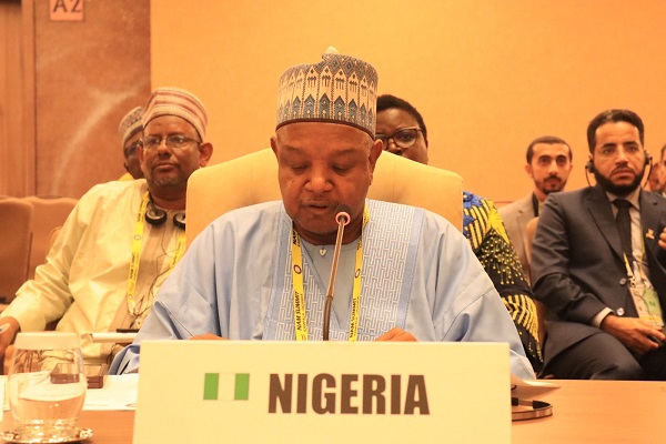 Tinubu representative