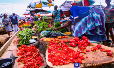 Untitled design 33 1