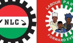 nlc labour party lp