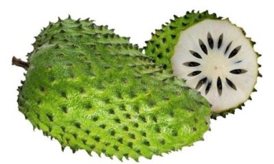 soursop fruit 509x340 1