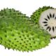 soursop fruit 509x340 1