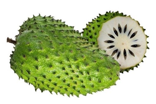 soursop fruit 509x340 1