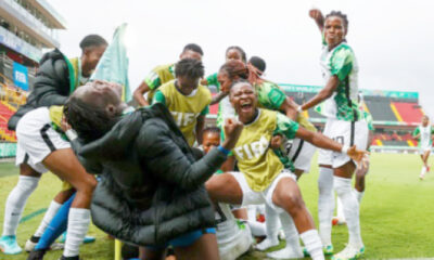 Falconets